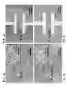 Fig. 08 - Separated Carbon Nanotube-Based Active Matrix Organic Light-Emitting Diode Displays