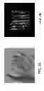 Fig. 14 - Separated Carbon Nanotube-Based Active Matrix Organic Light-Emitting Diode Displays