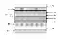 Fig. 01 - White organic light-emitting diode