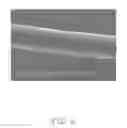 Fig. 07 - Light emitting diode