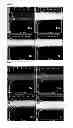 Fig. 06 - Methods for producing chalcopyrite compound thin films for solar cells using multi-stage paste coating