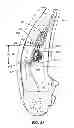 Fig. 22 - Lumbar support system