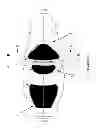 Fig. 02 - INFLATABLE SEAT AND METHOD OF USE