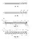 Fig. 06 - Interconnect assemblies with probed bond pads