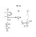 Fig. 09 - Power amplifier