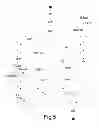 Fig. 04 - Apparatuses, system and process for detecting accidents