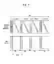 Fig. 06 - Pixel, display device comprising the same and driving method thereof