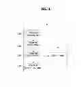 Fig. 02 - DEVICE AND METHOD FOR USER INTERFACING, AND TERMINAL USING THE SAME