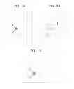 Fig. 07 - Touch input device and method