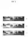 Fig. 06 - COLOR CORRECTION APPARATUS FOR PANORAMA VIDEO STITCHING AND METHOD FOR SELECTING REFERENCE IMAGE USING THE SAME