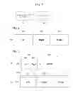 Fig. 02 - IMAGE DATA TRANSMISSION DEVICE, IMAGE DATA TRANSMISSION METHOD, AND IMAGE DATA RECEPTION DEVICE
