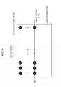 Fig. 05 - Processing apparatus, processing method, and program
