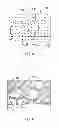 Fig. 03 - Automatic image orientation and straightening through image analysis
