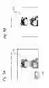 Fig. 06 - Imaging apparatus and display method for displaying through image and image processing information