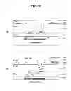 Fig. 12 - Liquid crystal display device and method of manufacturing the same