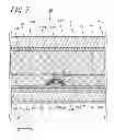 Fig. 08 - Liquid crystal display device including shield electrodes and light shielding films and method of manufacturing the same
