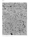 Fig. 03 - Optical layered body, polarizer, and image display device