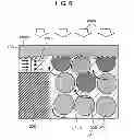 Fig. 09 - FLEXIBLE WIRING BOARD, METHOD FOR MANUFACTURING SAME, MOUNTED PRODUCT USING SAME, AND FLEXIBLE MULTILAYER WIRING BOARD