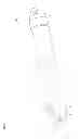 Fig. 03 - STRAIGHT TUBE LAMP