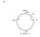 Fig. 08 - STRAIGHT TUBE LAMP