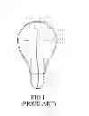 Fig. 02 - LED LIGHT BULB STRUCTURE