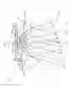 Fig. 06 - VEHICULAR LAMP