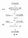 Fig. 20 - Systems, methods, and devices with write optimization in phase change memory
