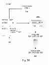 Fig. 22 - Systems, methods, and devices with write optimization in phase change memory