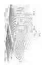 Fig. 02 - Three dimensional stacked nonvolatile semiconductor memory