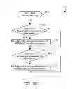 Fig. 08 - Utilizing stored data to reduce packet data loss in a mobile data network with data breakout at the edge