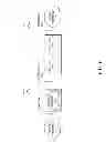 Fig. 08 - Internet presence for a home network