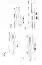 Fig. 13 - Systems, apparatus and methods for association in multi-hop networks