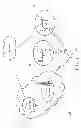 Fig. 02 - APPARATUSES, SYSTEMS, AND METHODS FOR OFFLOADING DATA TRAFFIC
