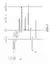 Fig. 04 - Method and apparatus for distinguishing cells with the same physical cell identifier