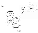 Fig. 02 - Method and apparatus for performing synchronization in base station and user equipment