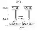 Fig. 06 - Wireless base station, wireless terminal, and packet transmission method