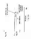 Fig. 27 - DYNAMIC DIGITAL PRE-DISTORTION SYSTEM