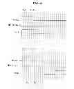 Fig. 15 - Shift register