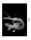 Fig. 08 - Methods, systems, and media for generating and analyzing medical images having elongated structures