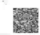 Fig. 01 - Image fusion using sparse overcomplete feature dictionaries