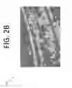 Fig. 06 - Image fusion using sparse overcomplete feature dictionaries