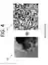 Fig. 08 - Image fusion using sparse overcomplete feature dictionaries