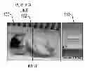 Fig. 01 - Eulerian motion modulation