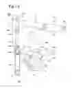 Fig. 14 - Shock-absorbing mechanism for movable mirror of camera