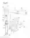 Fig. 26 - Shock-absorbing mechanism for movable mirror of camera