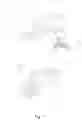Fig. 30 - Developer accommodating container, developing device, process cartridge and image forming apparatus