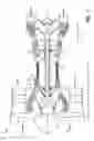 Fig. 02 - Gas turbine engine synchronizing ring with multi-axis joint