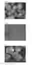 Fig. 04 - Fine crystal particle production method