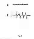 Fig. 08 - Perylenequinone derivatives and uses thereof