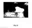 Fig. 22 - Perylenequinone derivatives and uses thereof